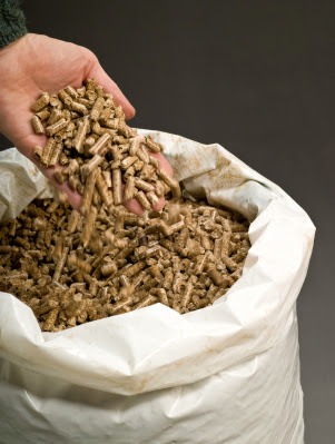 Quale Pellet scegliere: prezzi, offerte, qual'è il pellet migliore