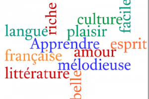 Come imparare il francese velocemente: METODO GRATUITO !!