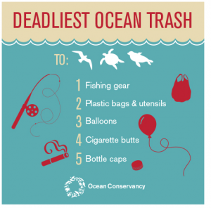 le plastiche più dannose per gli oceani