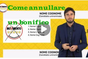 Come annullare un Bonifico ( come fanno quelli del M5S ?)