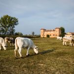 aprire un'azienda agricola costi e come fare impresa