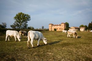 aprire un'azienda agricola costi e come fare impresa