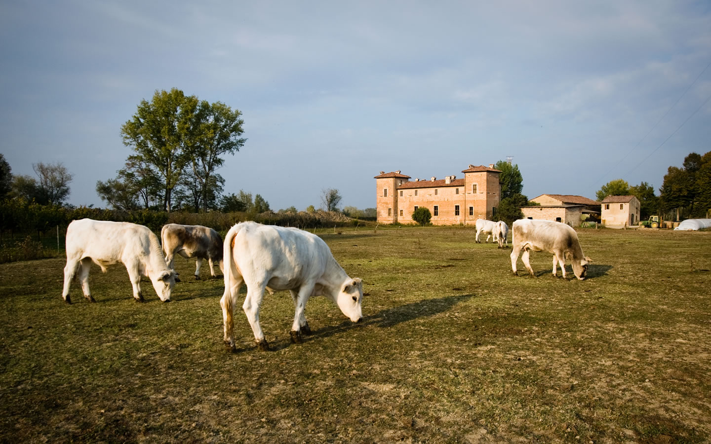 come aprire un'azienda agricola e quanto costa