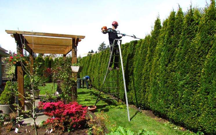 Quanto guadagna un giardiniere, stipendio mensile di un giardiniere Quanto costa un giardiniere