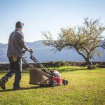 Aprire una Ditta da Giardiniere o Cooperativa per Giardinieri