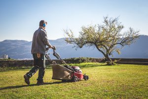 Aprire una Ditta da Giardiniere o Cooperativa per Giardinieri