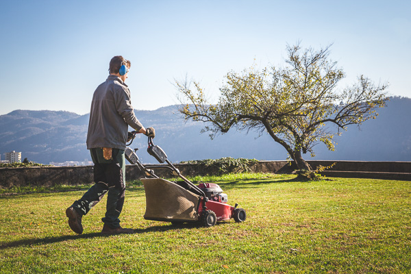 Aprire una ditta da giardiniere o cooperativa di giardinaggio Quanto costa un giardiniere
