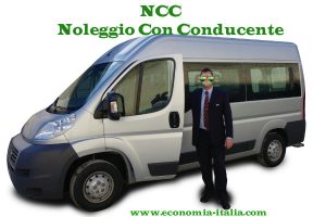 Quanto Guadagna un Autista NCC per Turisti?