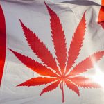 il Canada ha legalizzato la Marijuana Ricreativa: tutto quello che c'è da sapere