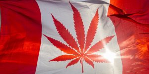 il Canada ha legalizzato la Marijuana Ricreativa: tutto quello che c'è da sapere