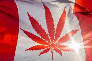 il Canada ha legalizzato la Marijuana Ricreativa: tutto quello che c'è da sapere