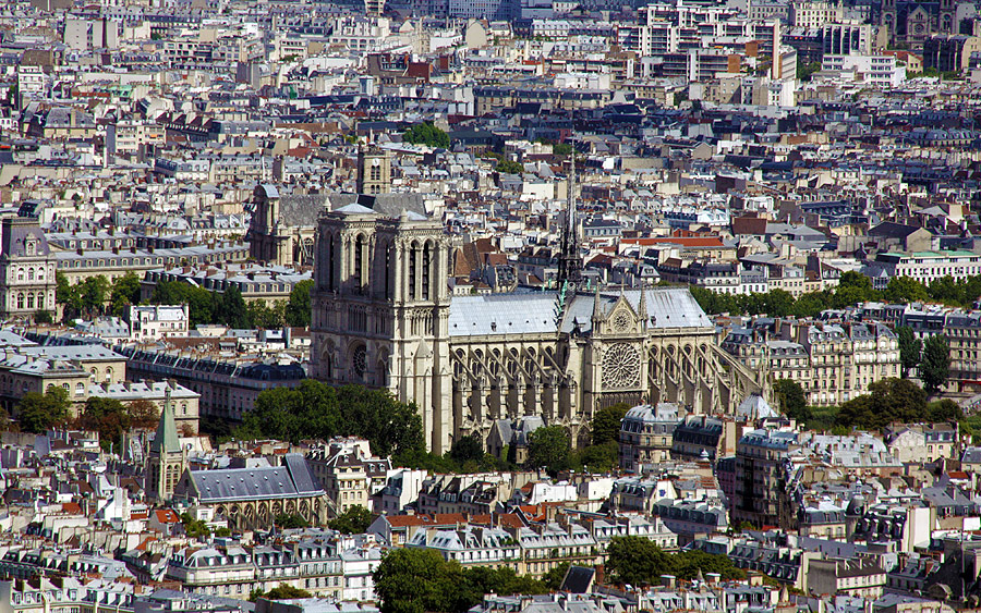 LA VERA STORIA DELLA CATTEDRALE DI NOTRE DAME DE PARIS