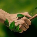 Ecosostenibilità: cos'è la sostenibilità e perché è importante?