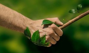 Ecosostenibilità: cos'è la sostenibilità e perché è importante?