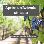 Aprire un'Azienda Vinicola. Come Fare? Guida e Suggerimenti Utili