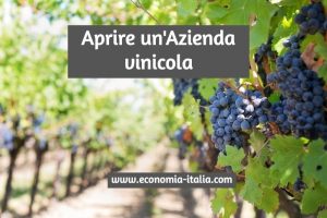 Aprire un'Azienda Vinicola. Come Fare? Guida e Suggerimenti Utili