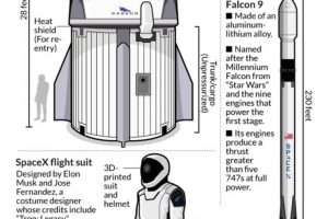 SpaceX di Elon Musk: il valore dell'economia dello spazio crescerà di 600 miliardi in 10 anni