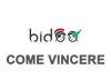 Vincere su Bidoo: Trucchi per Vincere le Aste di Bidoo