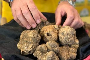 Prezzo Tartufo Bianco Natale 2020 - 2021