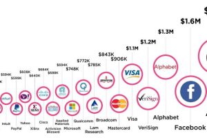 Le 15 Società di Software più Ricche del Mondo