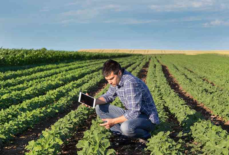 agronomo , perito agrario