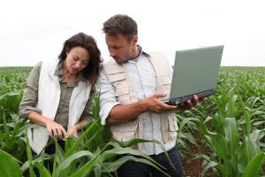 Quanto Guadagna un Perito Agrario: Formazione, Stipendio, Nuova Agricoltura