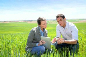 Quanto guadagna un agronomo? Come laurearsi in agraria e agricoltura moderna