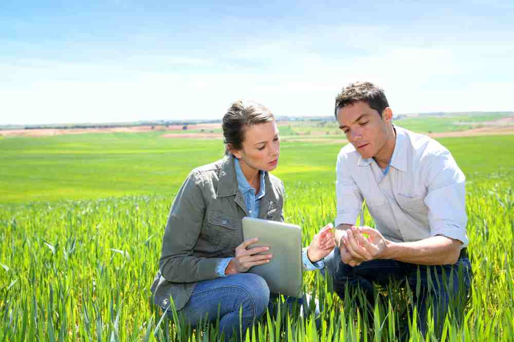 Quanto guadagna un agronomo? Come laurearsi in agraria e agricoltura moderna