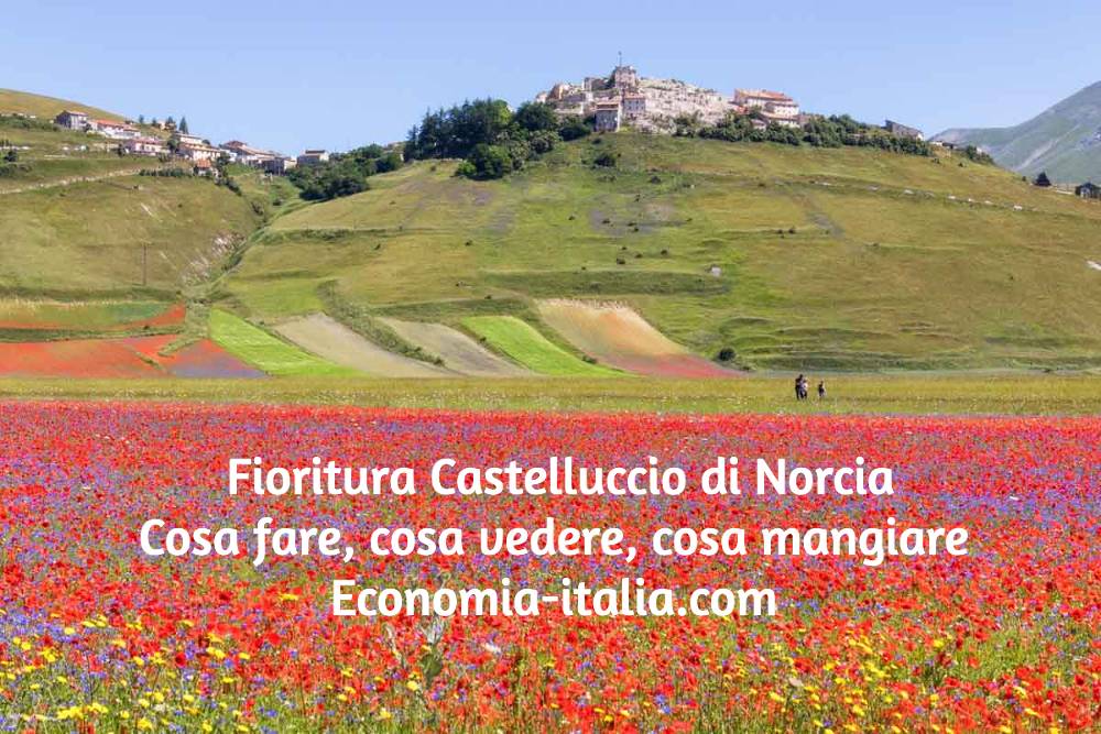 fioritura castelluccio di norcia: cosa fare, cosa vedere, cosa mangiare