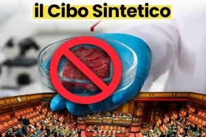 Divieto Cibo e Carne Sintetica: Perché Penalizza le Aziende Italiane che Vuole Proteggere