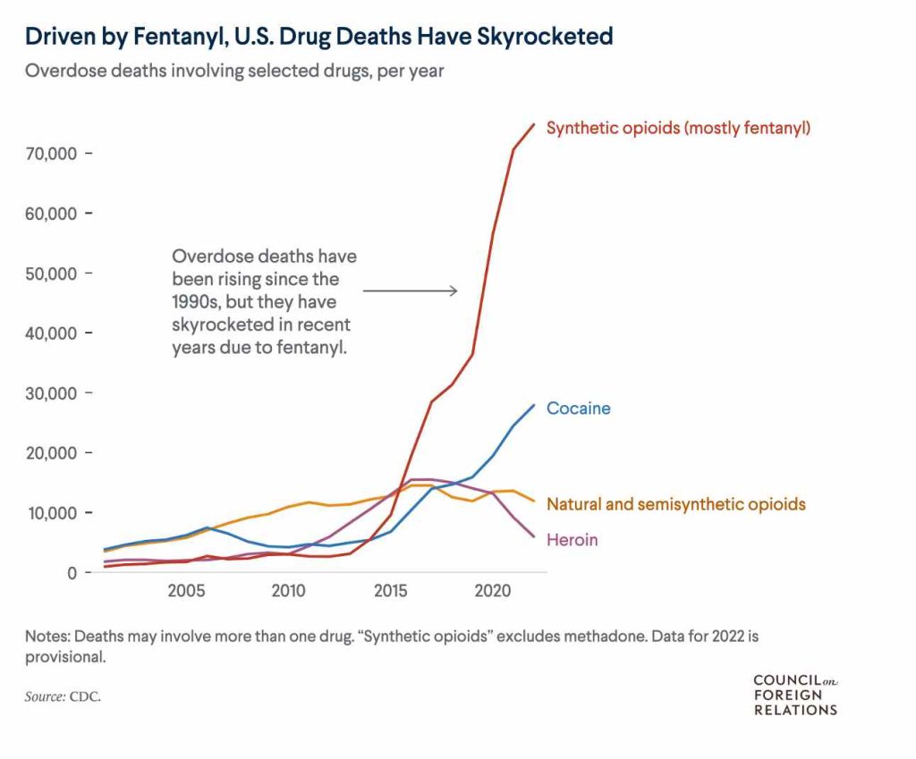 Conseguenze Economiche e Sociali Epidemia Fentalyn Nord America 