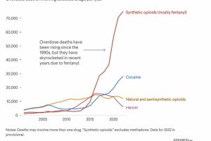 Conseguenze Economiche e Sociali Epidemia Fentalyn Nord America