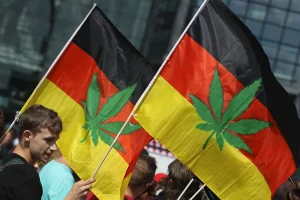 Marijuana Legale in Germania: Aspetti Positivi e Negativi della Legalizzazione