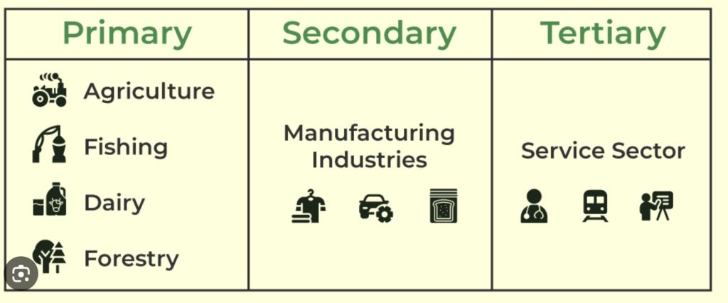 Quali saranno i settori economici più in crescita del 2025? Cosa dicono le previsioni
