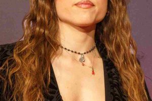 quanto guadagna angelina manco